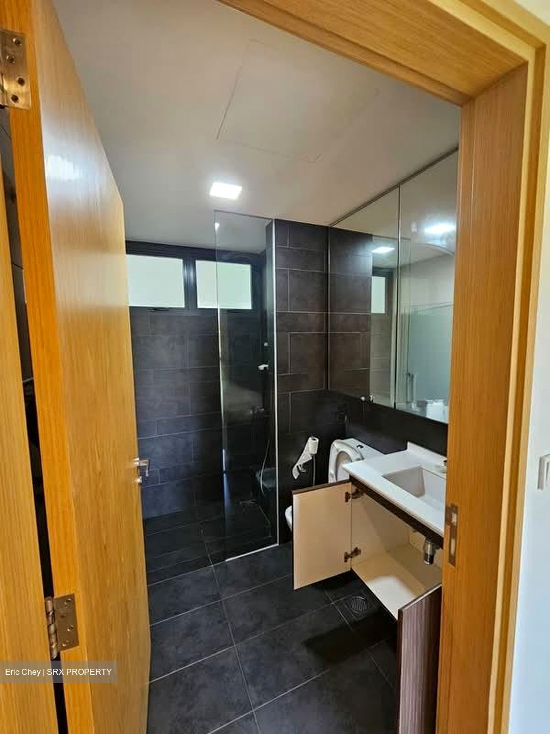 Parc Olympia (D17), Condominium #531861531